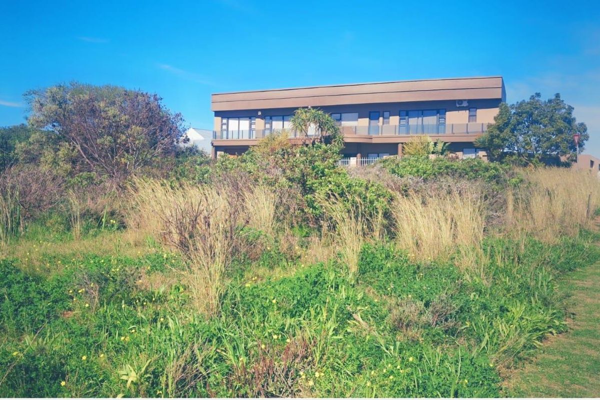 A view of the rear elevation of a modern residential property, featuring a balcony with glass balustrades, set behind a natural, undeveloped garden area.