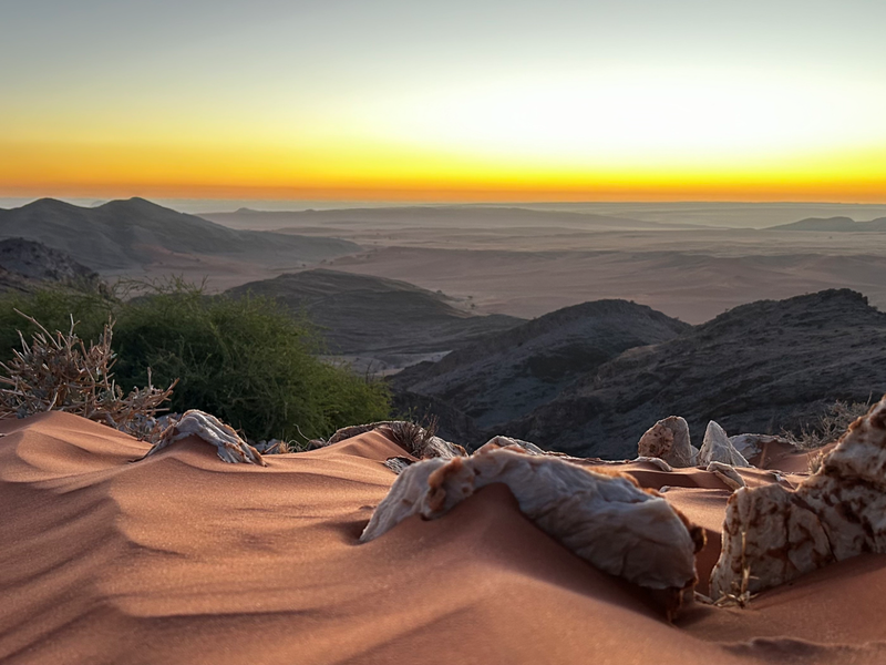 Untouched Desert Beauty - Photo 2