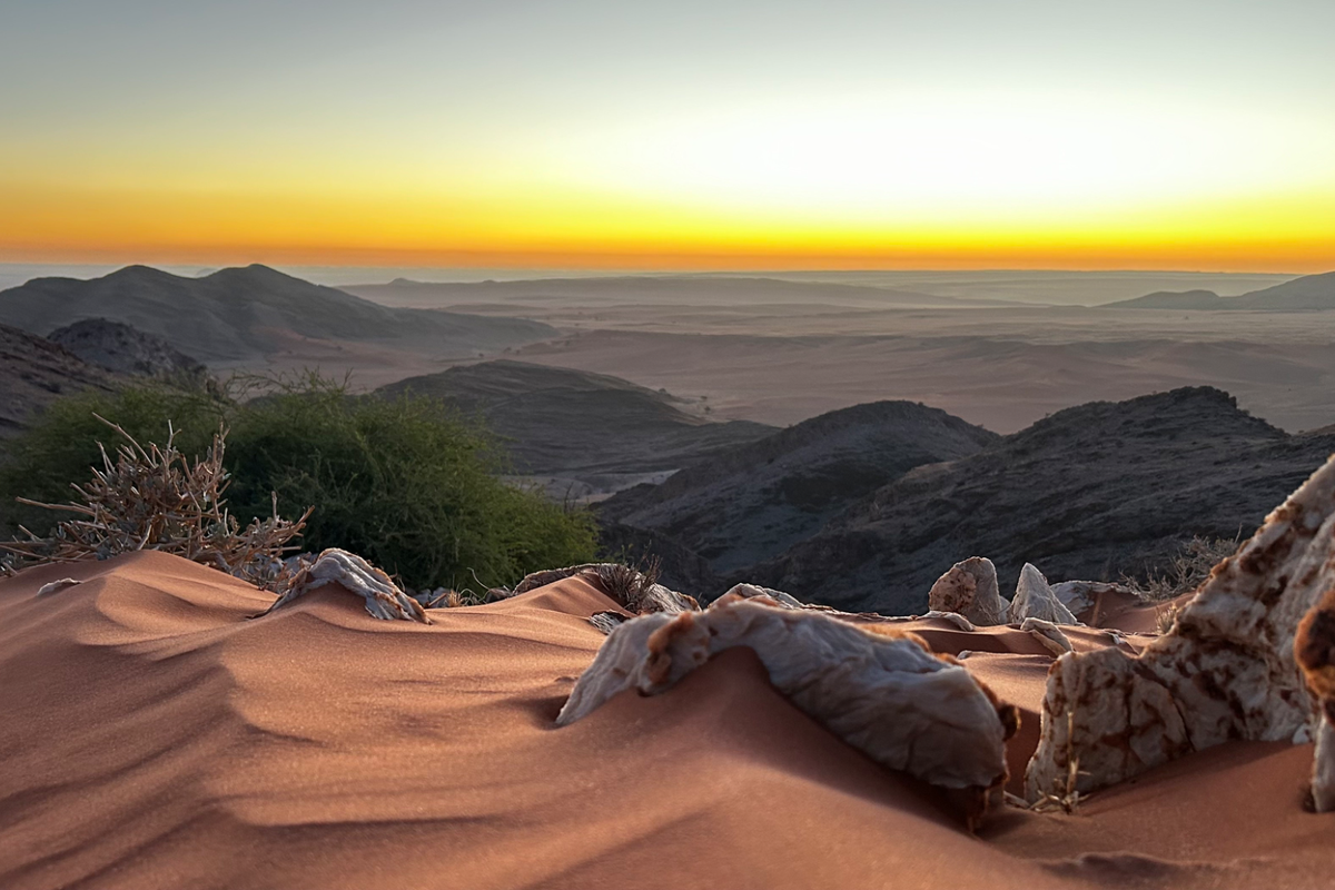 Untouched Desert Beauty - Photo 2