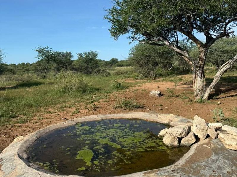 A rustic concrete water trough situated in a natural farm landscape with mature trees and open veld.