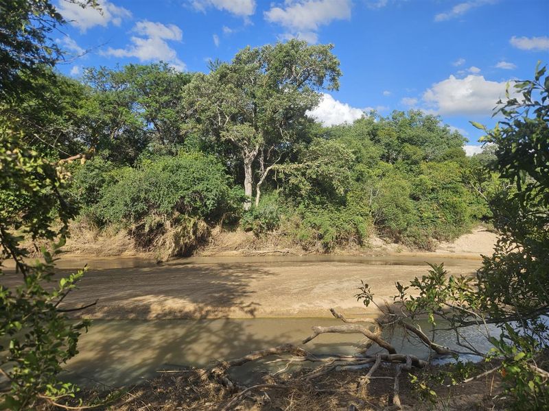 Riverfront stand on Moditlo Wildlife Estate
