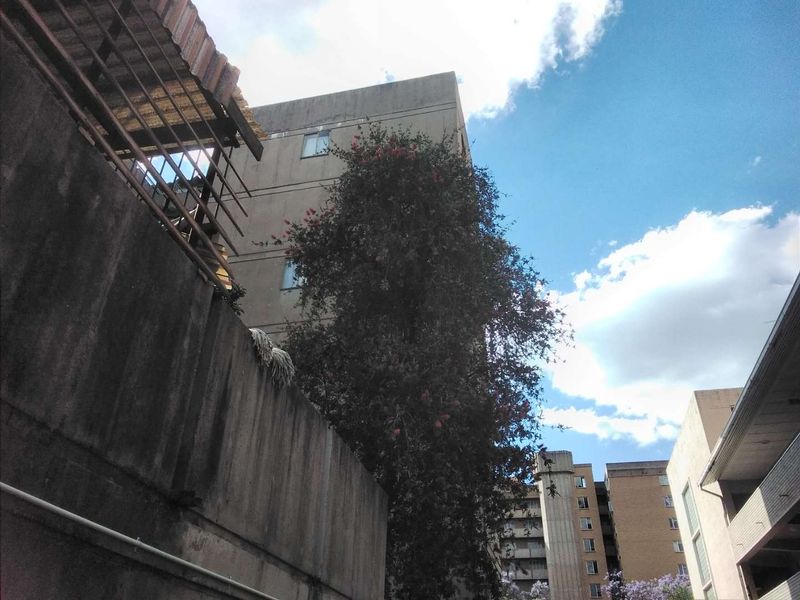 Exterior view of the apartment building showing concrete facade, balconies, and surrounding landscaping.