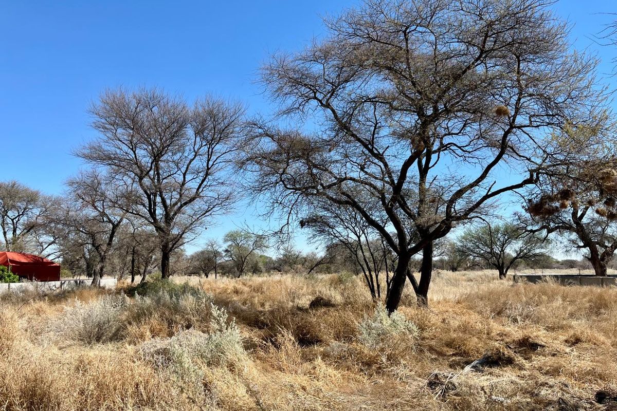 A view of a vacant residential plot featuring mature trees and dry natural vegetation under a clear blue sky.