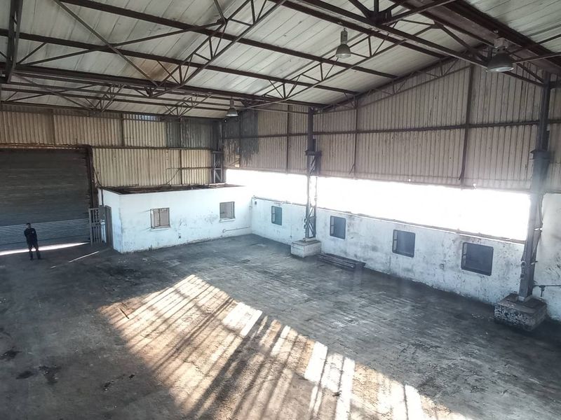 Spacious industrial warehouse featuring high-clearance steel truss roofing, large roller shutter door, and concrete flooring, suitable for storage or manufacturing operations.