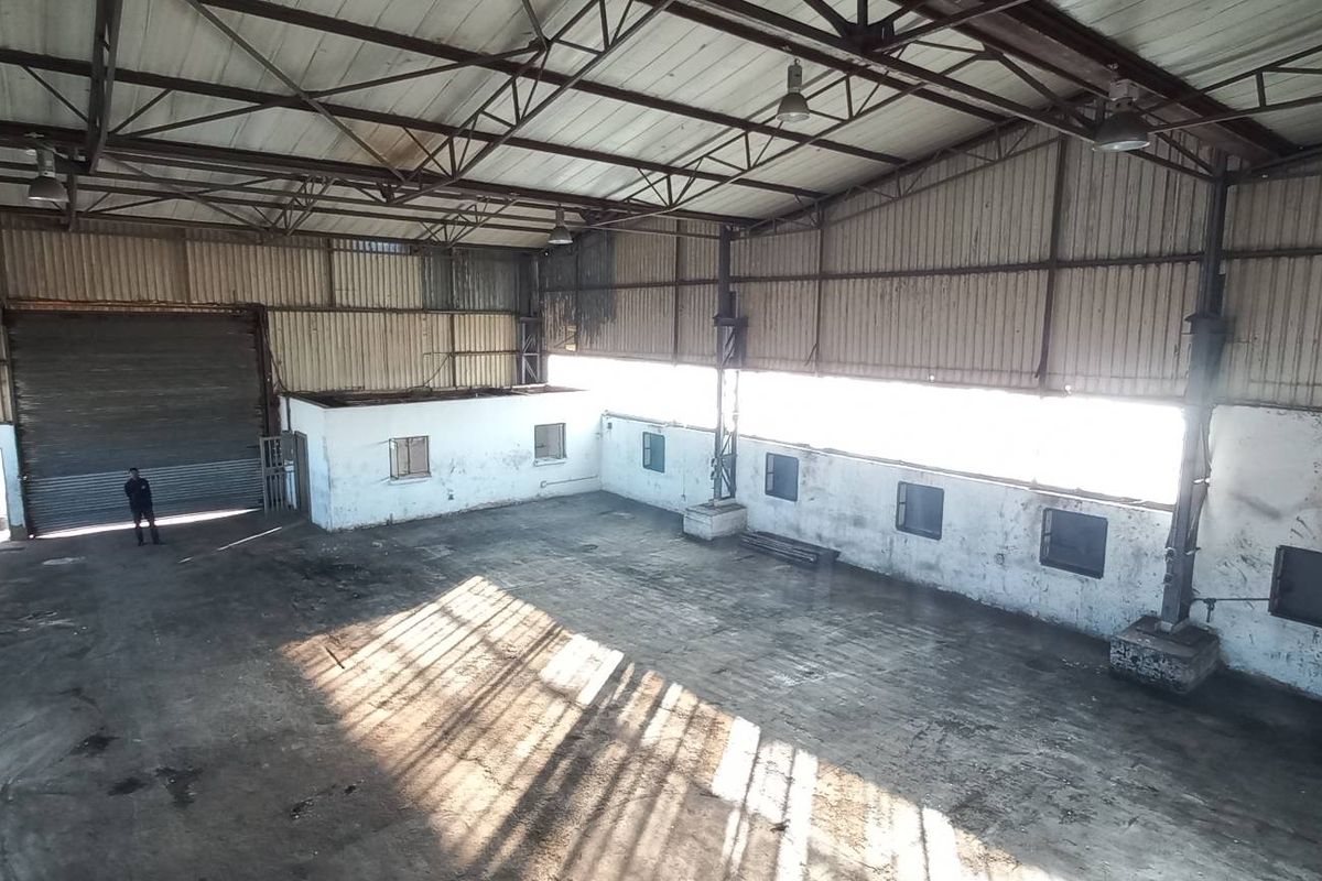Spacious industrial warehouse featuring high-clearance steel truss roofing, large roller shutter door, and concrete flooring, suitable for storage or manufacturing operations.