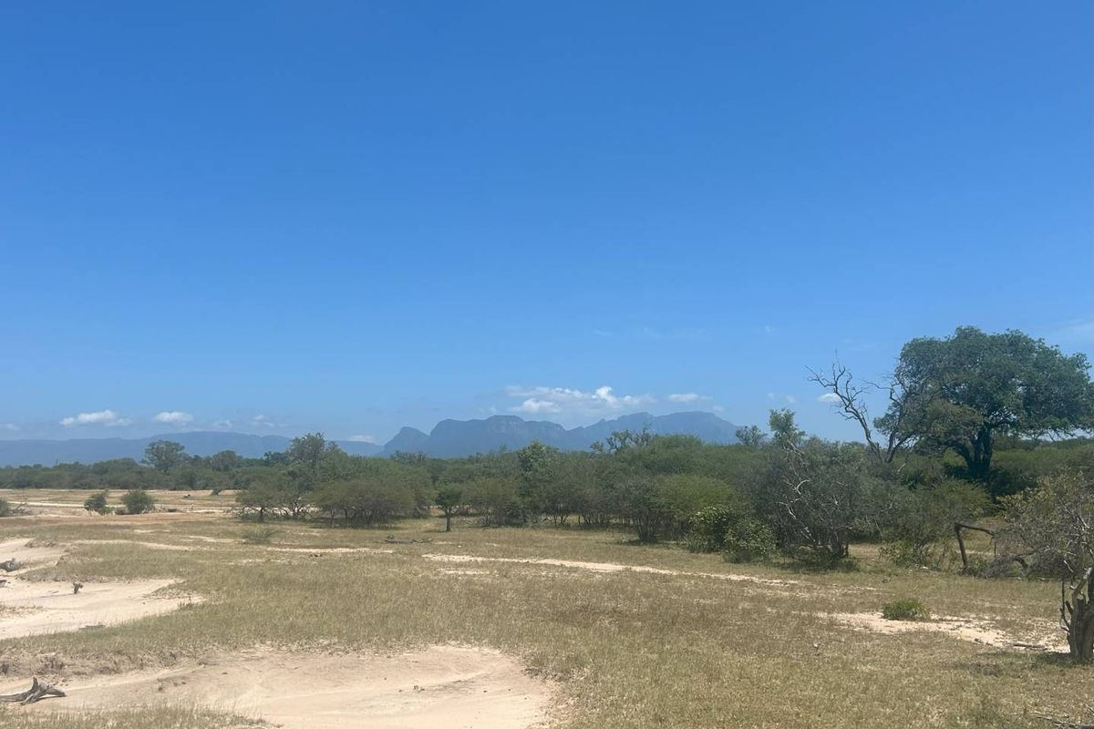 MODITLO NATURE RESERVE - Vacant land for sale! - Photo 3