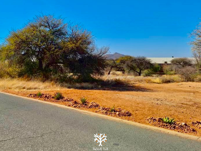 A view of the vacant residential land from the adjacent asphalt road, featuring natural vegetation and a clear view of the surrounding landscape.