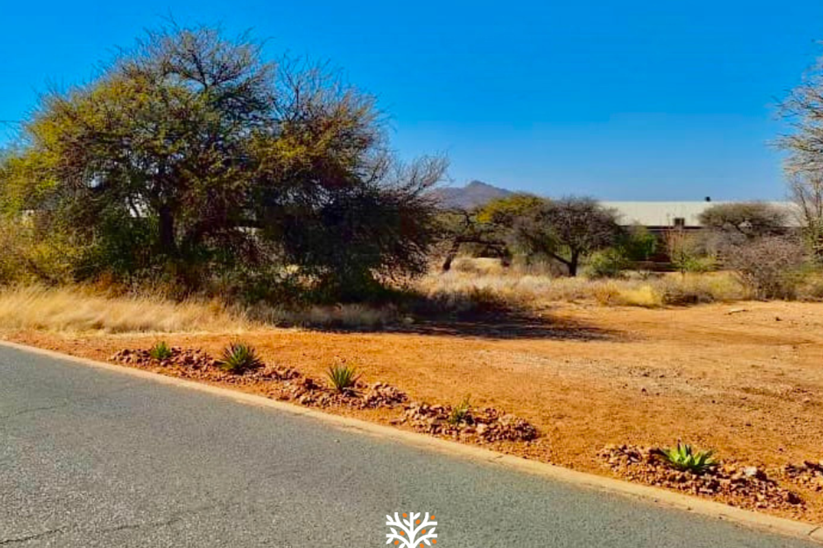 A view of the vacant residential land from the adjacent asphalt road, featuring natural vegetation and a clear view of the surrounding landscape.