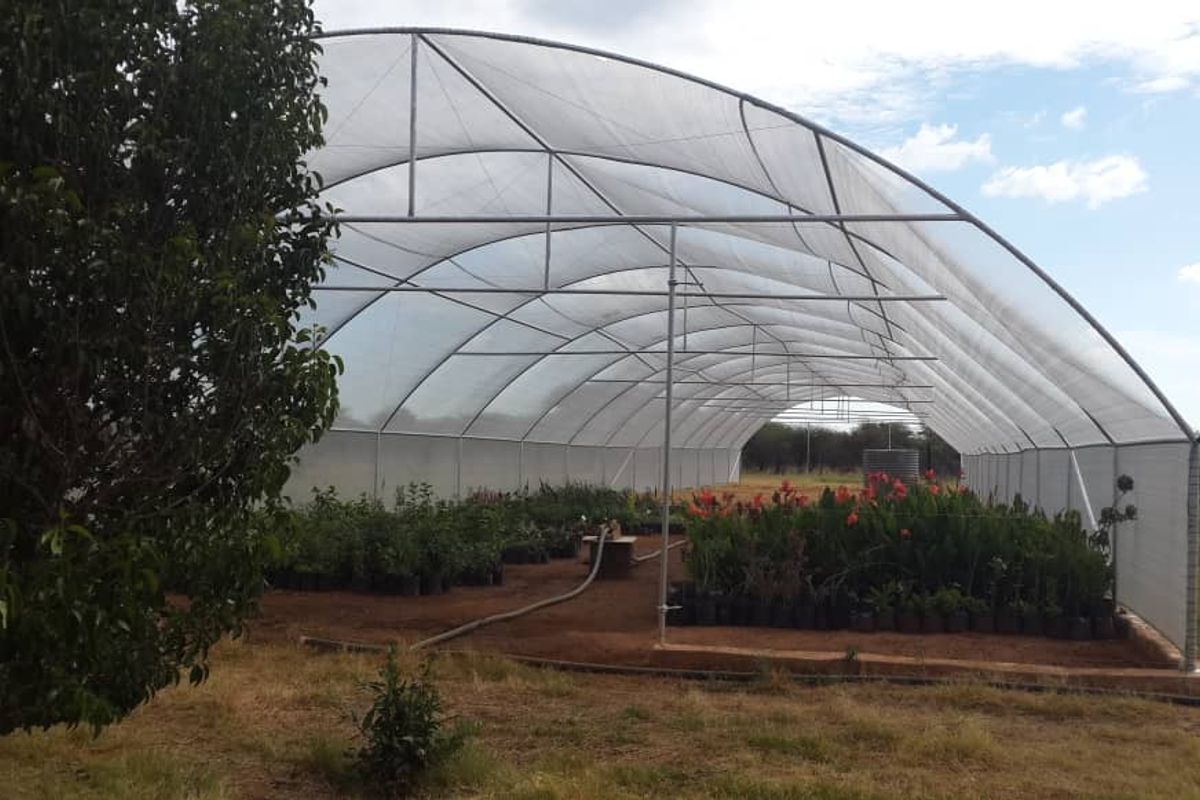 Small Holding with House and Bungalows for Sale, Otavi Region - Photo 4