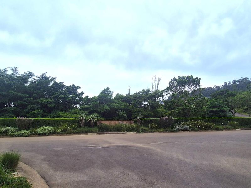 A view of the street frontage featuring a paved road, well-maintained landscaping, and mature trees in a residential setting.