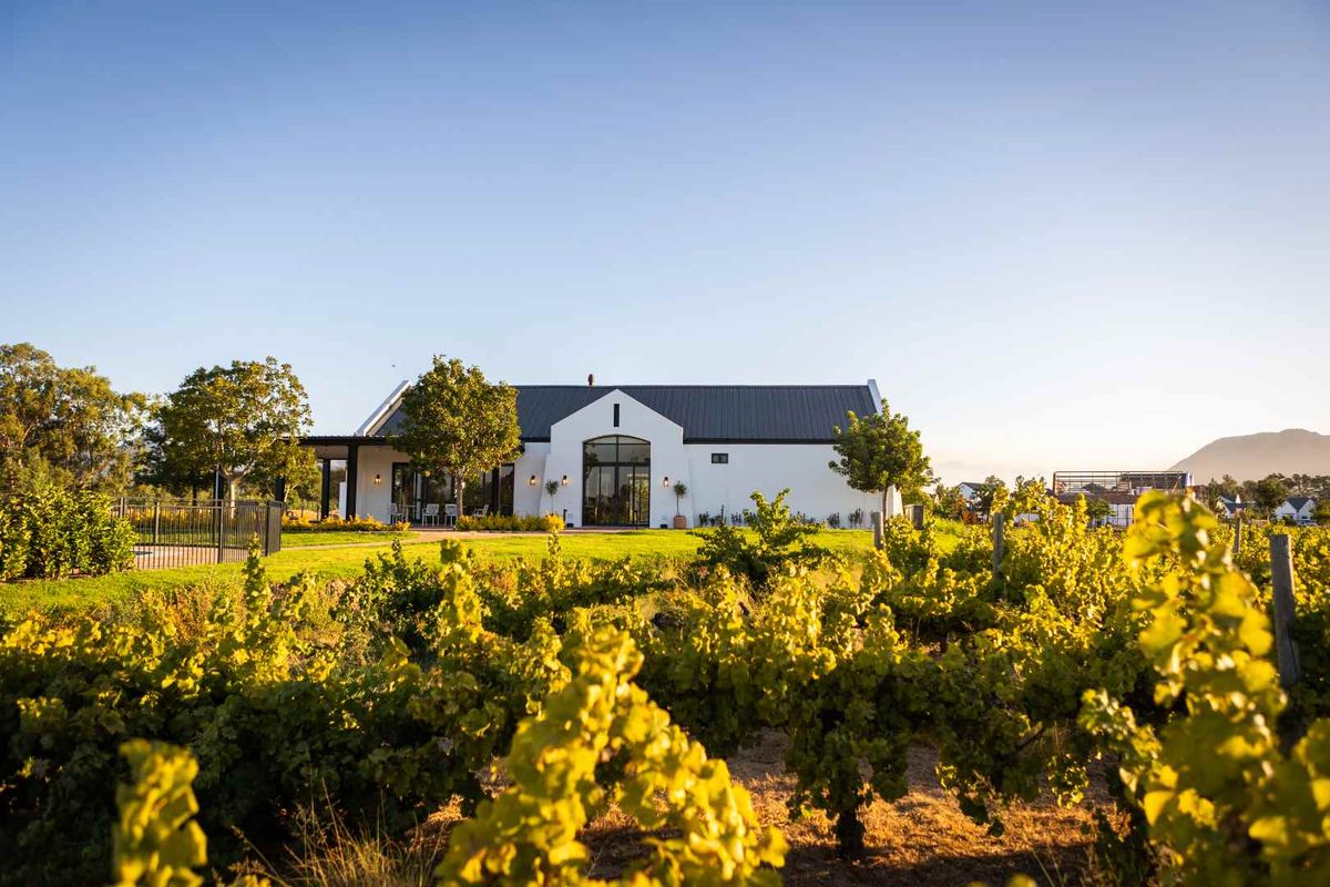 A beautiful rear view of a modern farmhouse-style home set against a lush vineyard, featuring a dark metal roof and large arched glass doors.