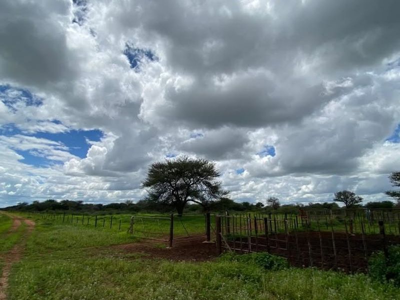 A Rare 1,268.25-Hectare Game Farm in the Hochfeld Area - Photo 6