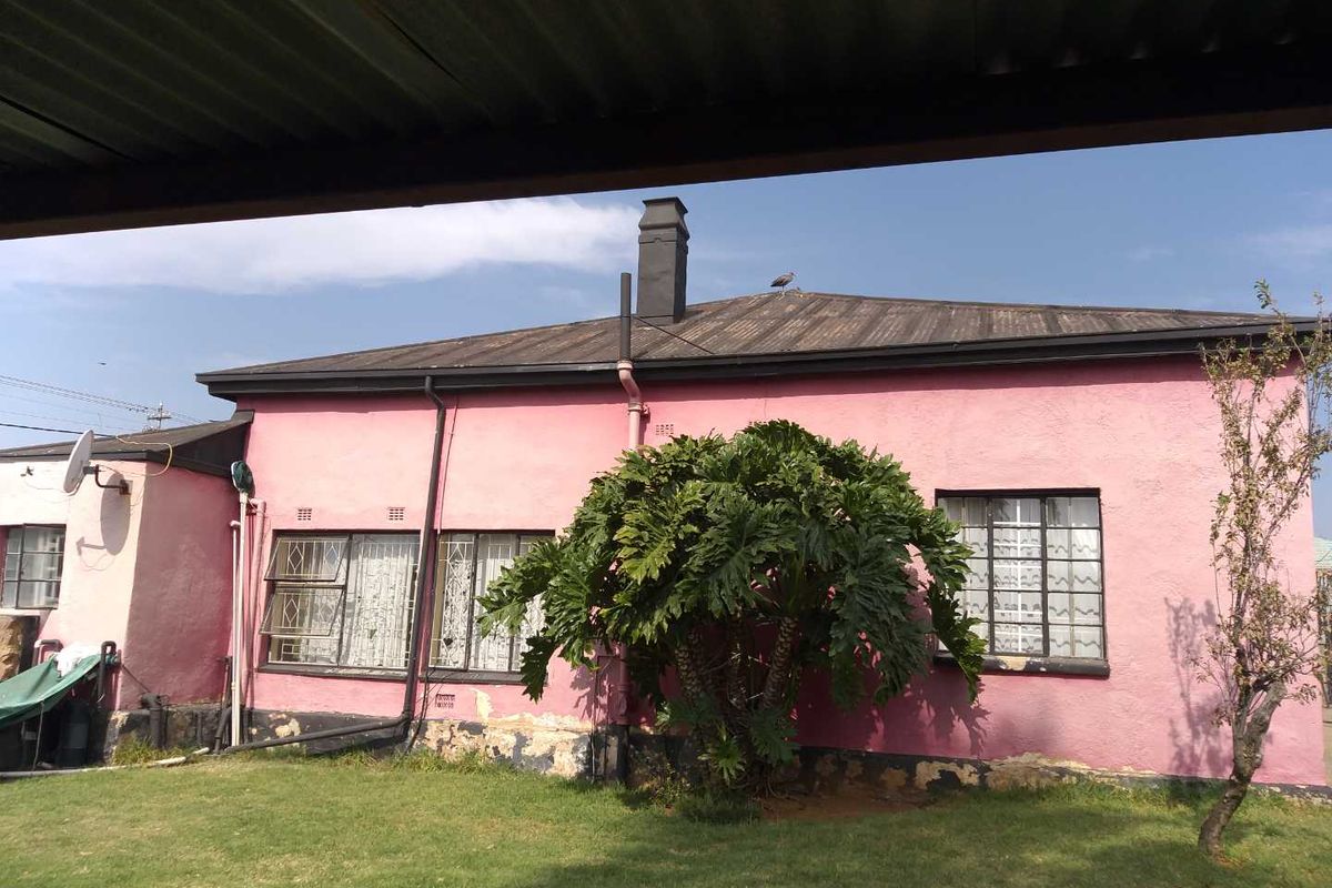 Rear exterior view of a single-story house featuring a pink stucco facade, metal roof, and a small garden area.