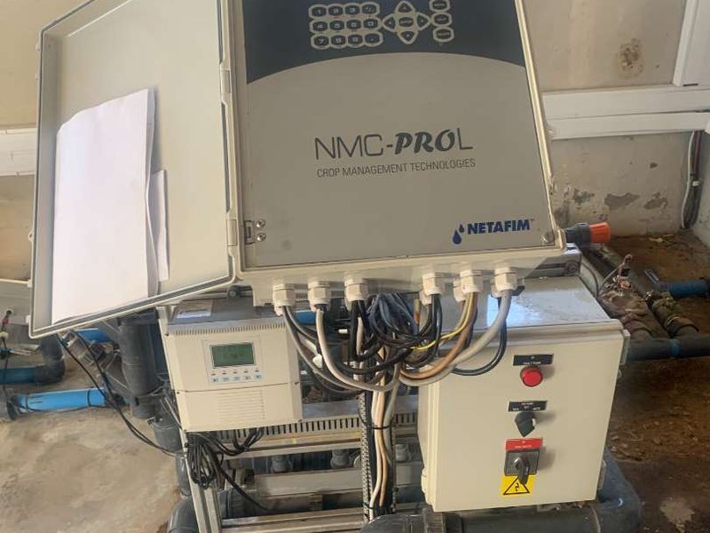 Established fresh produce plot - Photo 9