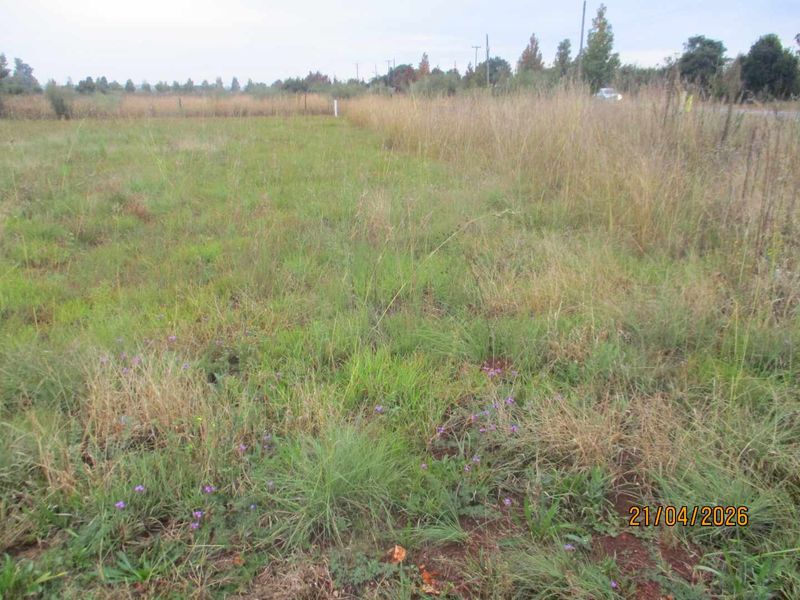 Enjoy the tranquility of Henley - Photo 5