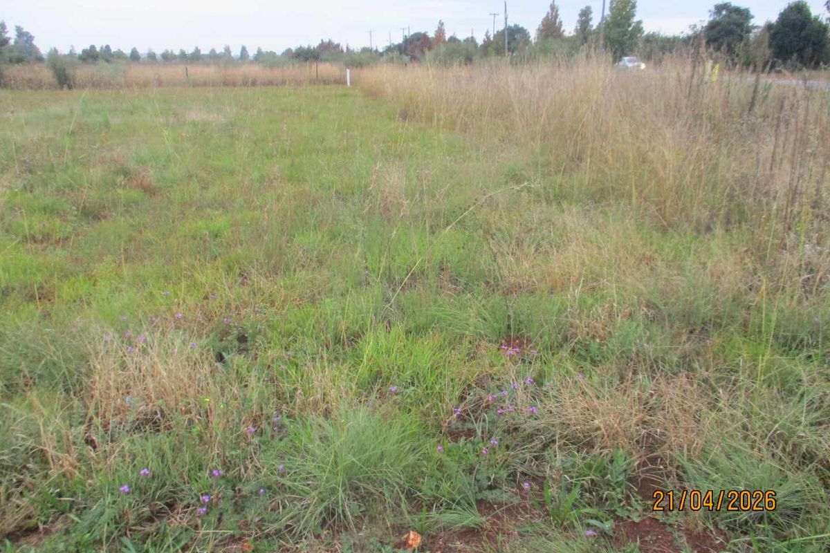 Enjoy the tranquility of Henley - Photo 5