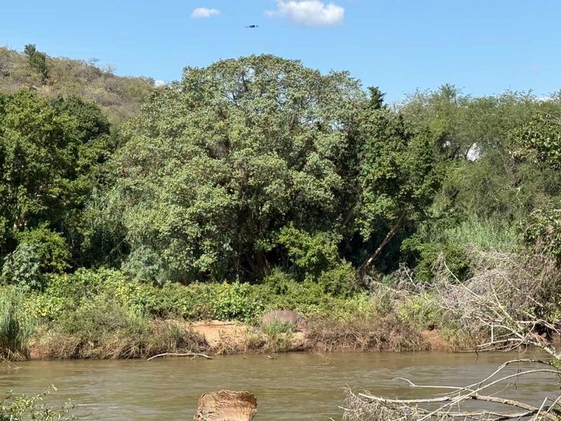 Magnificent Vacant Riverfront Land for Sale – Elephant Rock Eco Estate - Photo 10