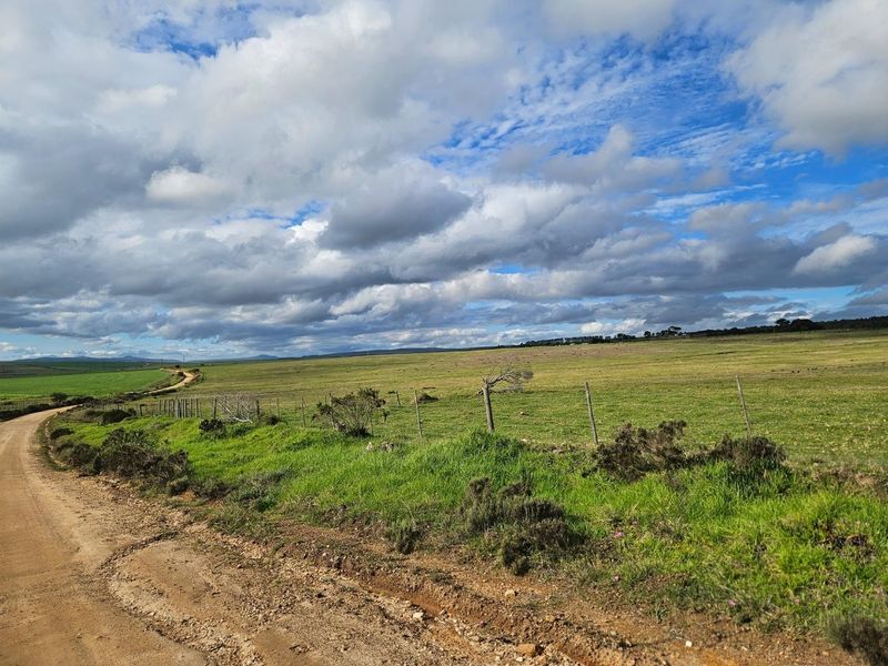 Get back-to-basics in beautiful B-Bos - Photo 6