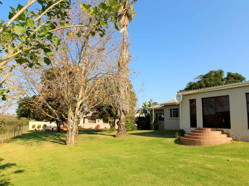 Farm 13 km from Hartenbos - Photo 5