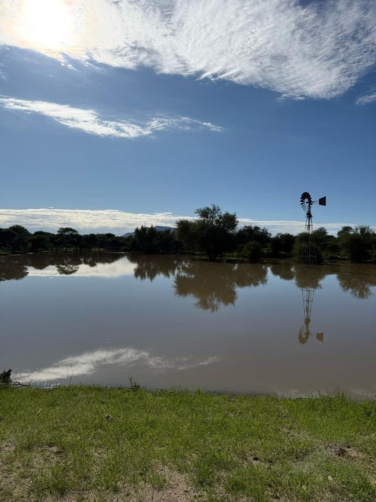 View of the soil dam on the farm