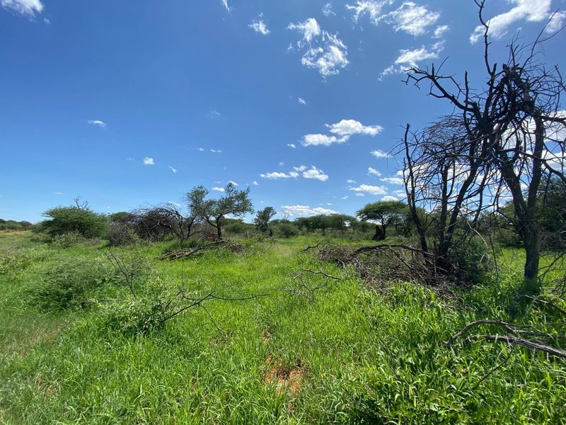 A Rare Opportunity to Own Your Dream Farmland! - Photo 3