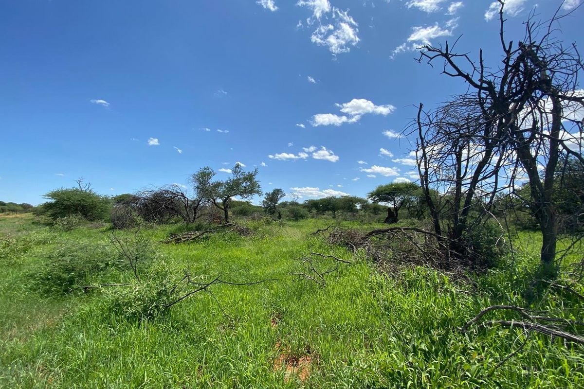 A Rare Opportunity to Own Your Dream Farmland! - Photo 3