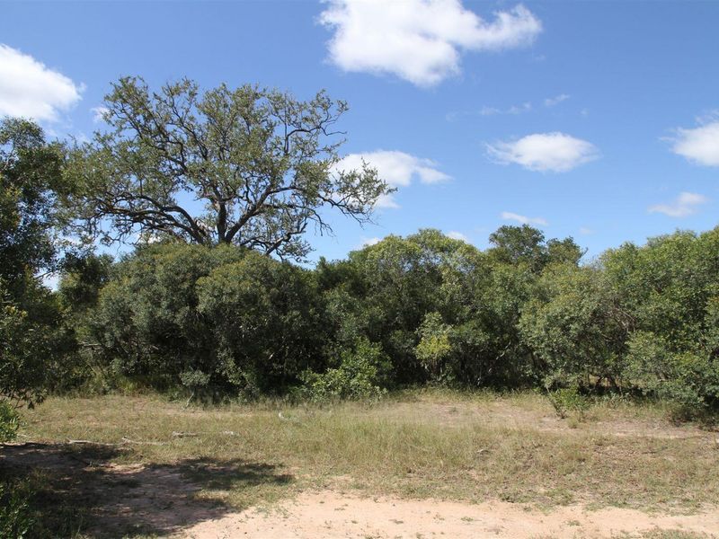 Vacant stand for Sale - Photo 2