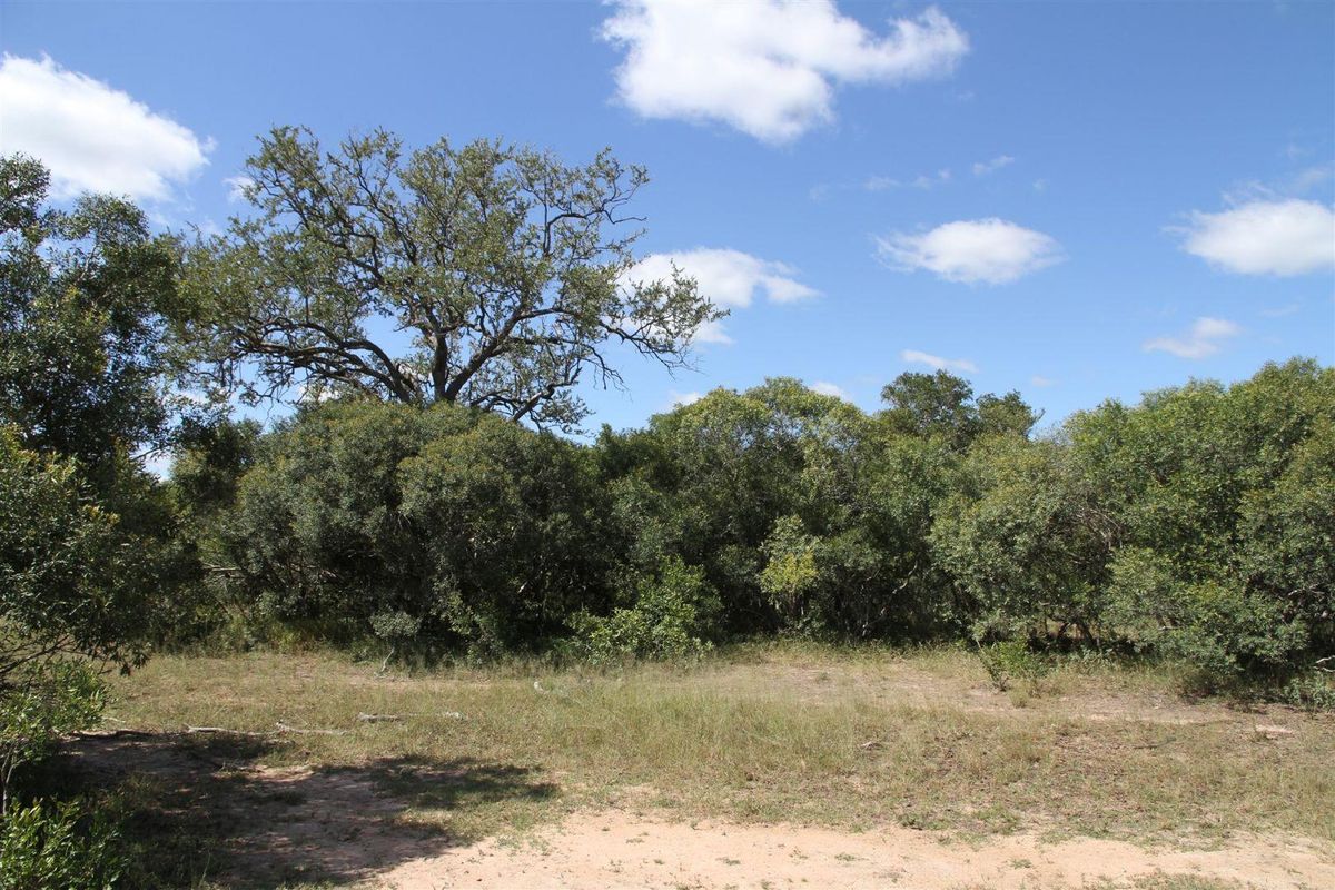 Vacant stand for Sale - Photo 2
