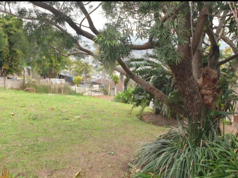 Prime Development Opportunity in Escombe - Photo 5