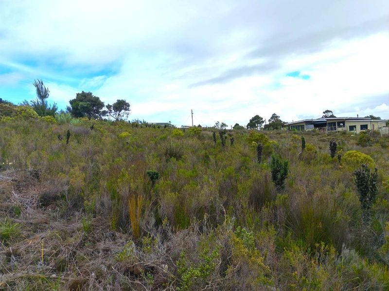 A view of a vacant residential plot featuring natural sloped terrain and native vegetation, offering potential for future development.