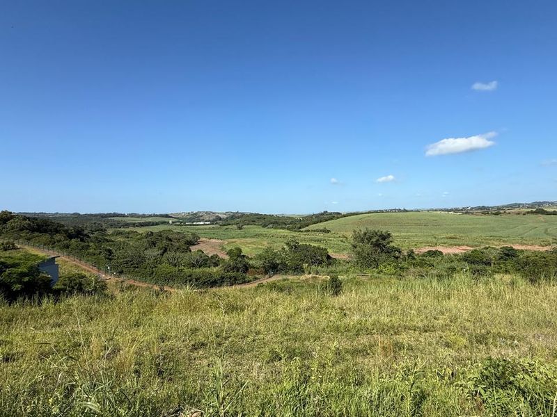 Vacant Land Palm Lakes Estate - Photo 7