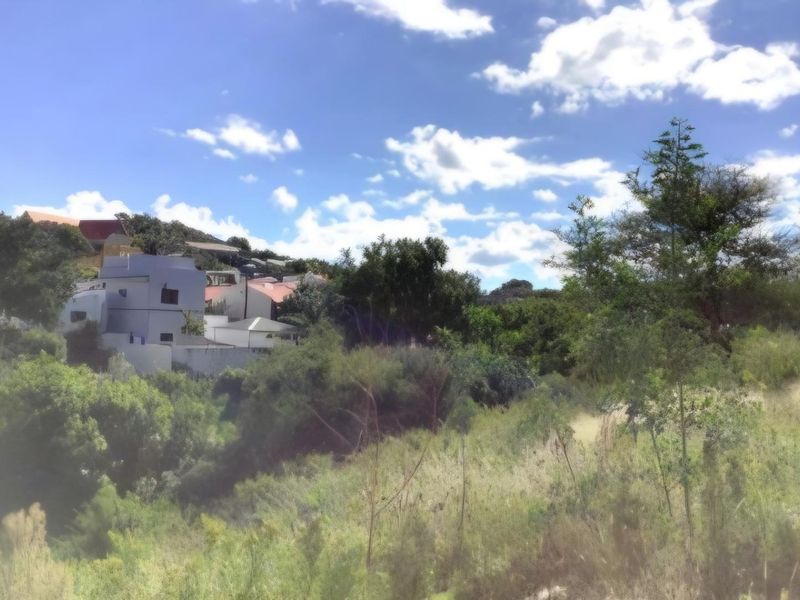 A view of the natural landscape and surrounding residential properties, showcasing the sloped terrain and native vegetation of the vacant land.