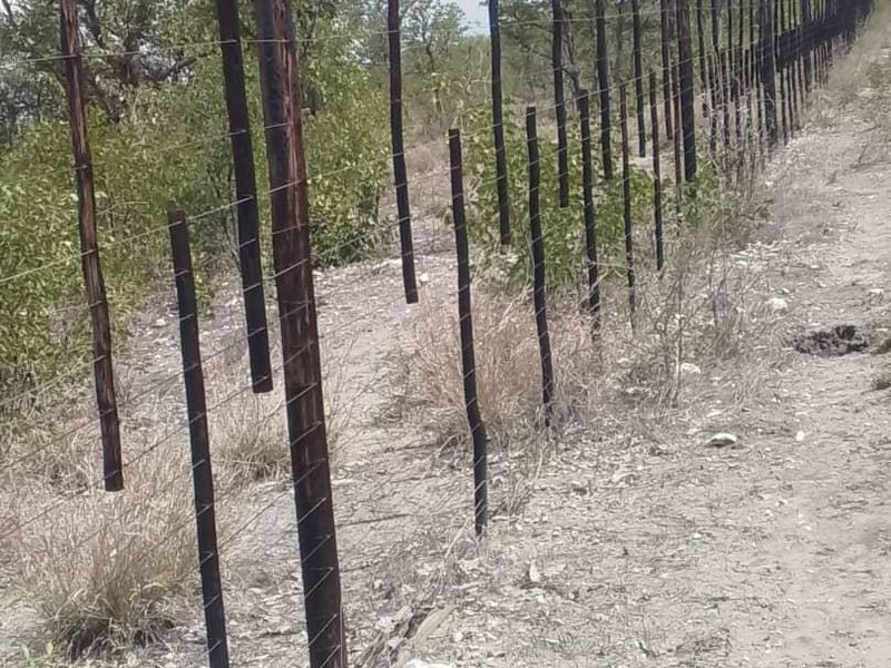 Game Farm For Sale - Oshikoto Region- Near Etosha - Photo 9