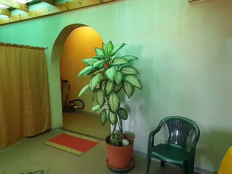 Endless Potential! - Photo 6