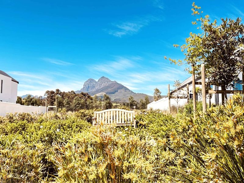 Modern Single-Storey Architectural Home in Mount Vernon Residential Estate - Photo 8