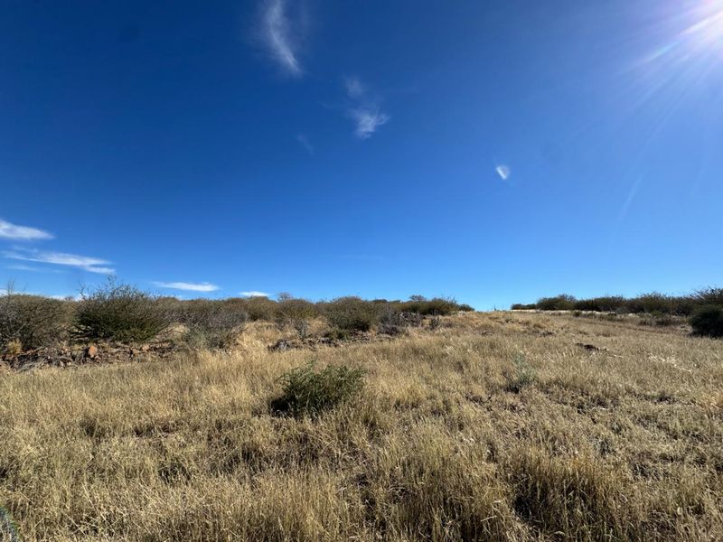 An expansive view of the natural, undeveloped veld landscape on the small holding, featuring indigenous shrubs and dry grassland under a clear blue sky.