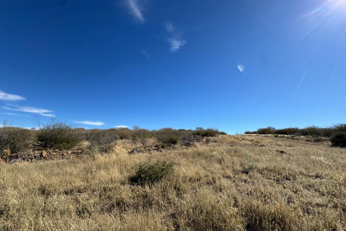 An expansive view of the natural, undeveloped veld landscape on the small holding, featuring indigenous shrubs and dry grassland under a clear blue sky.