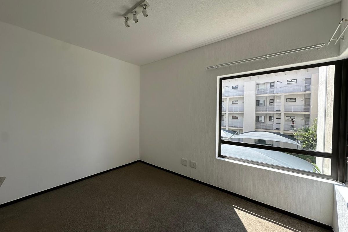 A vacant bedroom featuring neutral carpet flooring, track lighting, and a large window with an aluminium frame, offering a blank canvas for personalization.