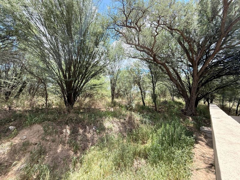 A view of the vacant commercial land featuring mature trees and a concrete retaining wall structure.