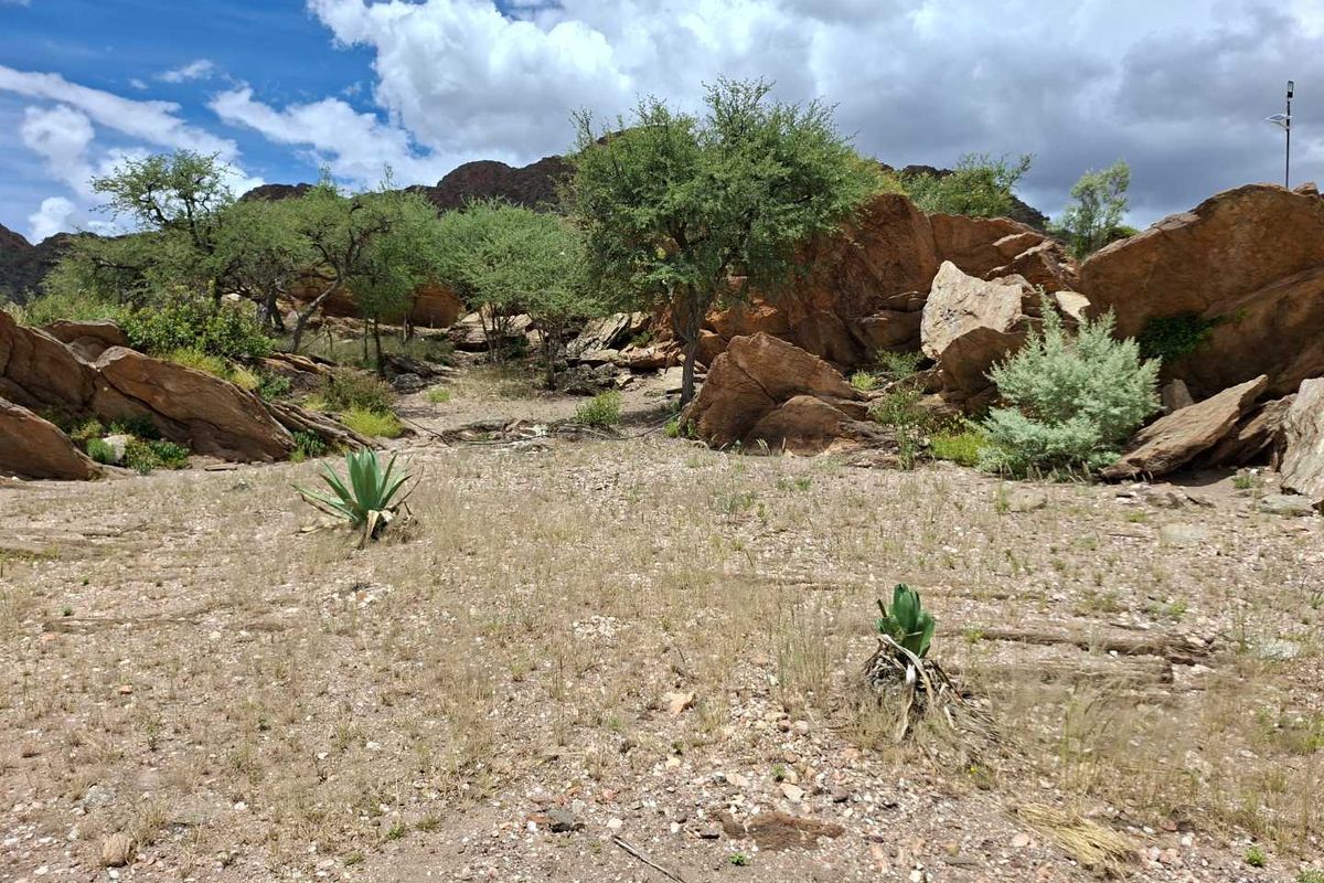 Escape the city hustle and embrace country living just 40 km from Windhoek! - Photo 4