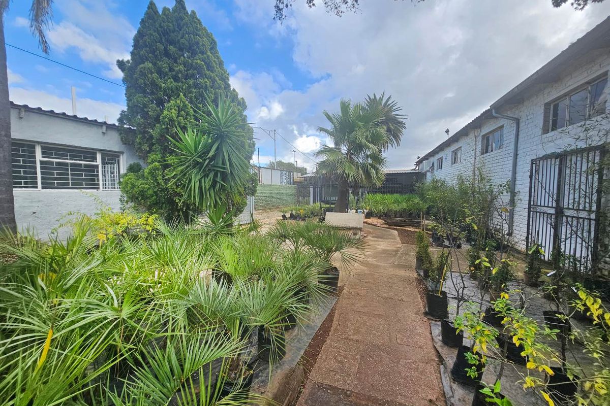 A rear garden area featuring a paved walkway between two building structures, surrounded by various potted plants and established trees.