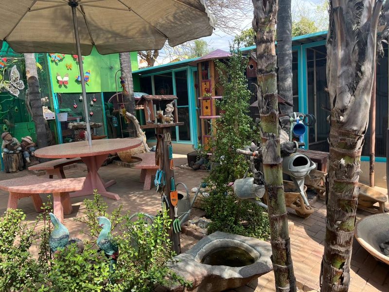 A landscaped garden area featuring paved patio space, mature palm trees, and an enclosed outdoor structure.