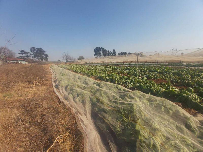 Massive Agricultural property with vegetable gardens and chicken coops - Photo 1