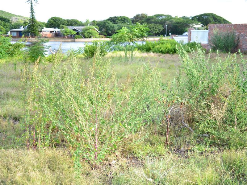 Vacant stand for Sale On The Island Grootbrak Rivier - Photo 3