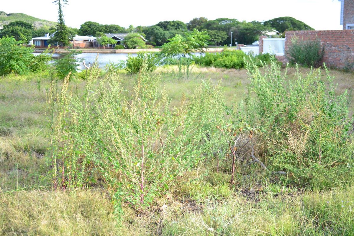 Vacant stand for Sale On The Island Grootbrak Rivier - Photo 3
