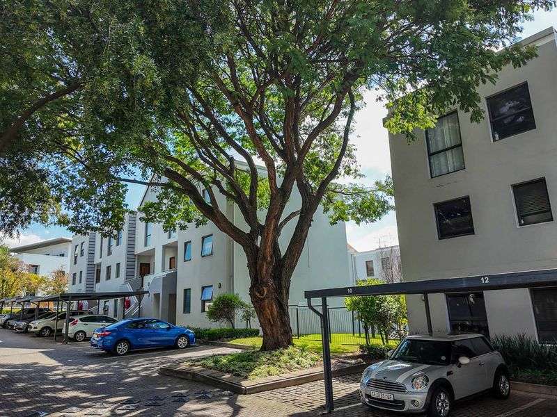 Exterior view of a modern apartment complex featuring paved parking areas with covered carports and established trees.