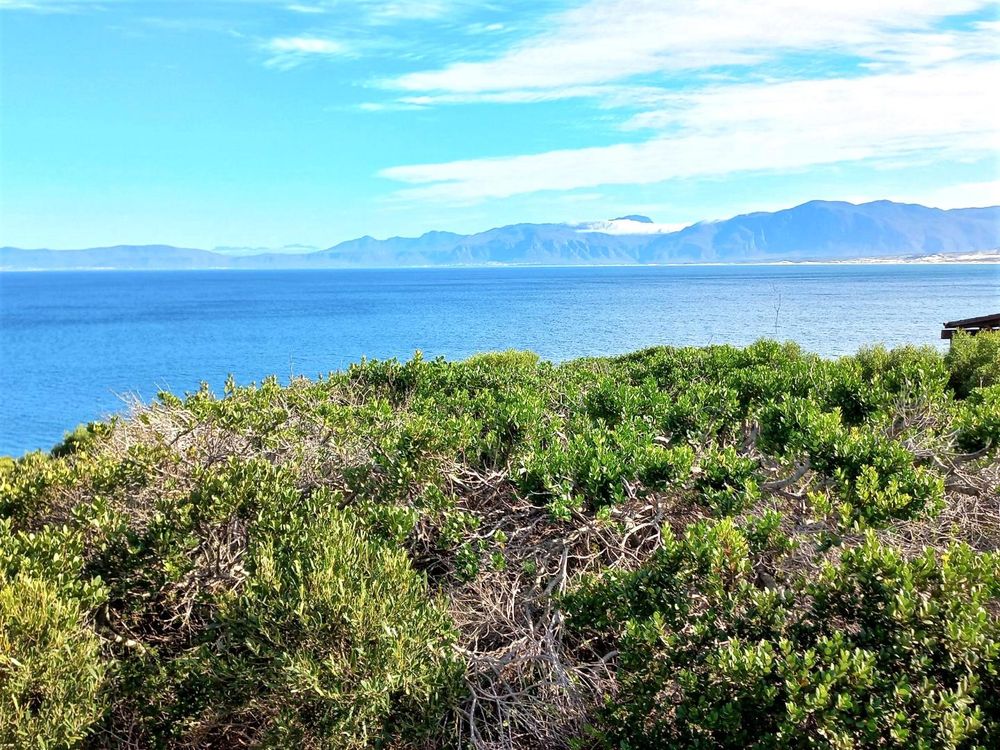 Sea View - in a slightly different direction.