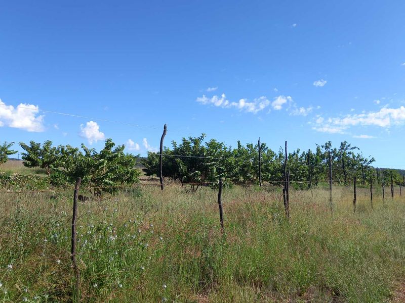 Outjo, 701 Ha Smallholding is for Sale - Photo 9