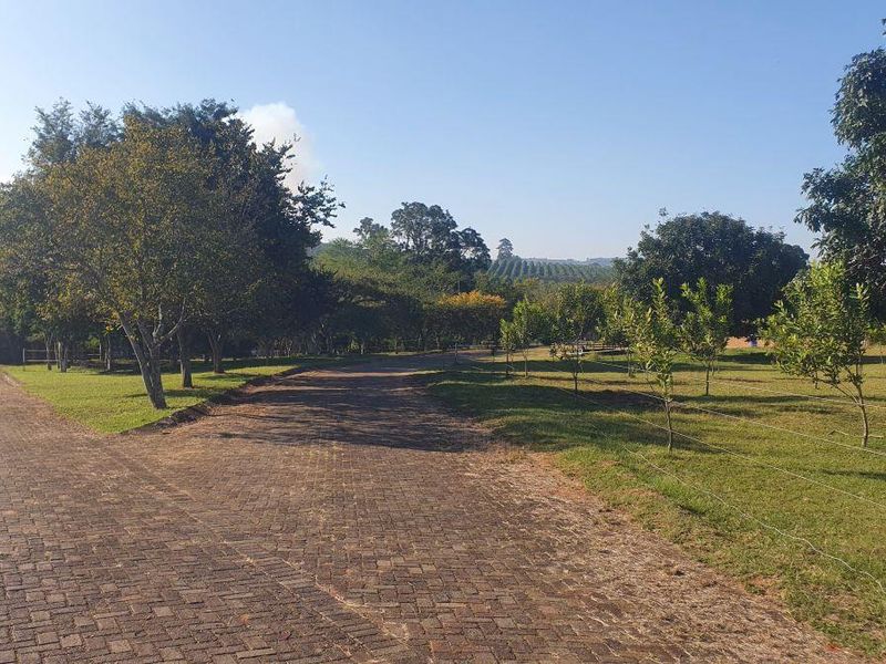 Spectacular Smallholding for Sale – A View and location Money Can’t Buy - Photo 8