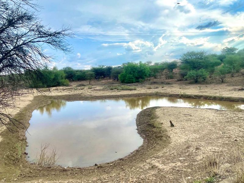 A natural pond feature set within a vacant commercial land plot, surrounded by native trees and shrubs.